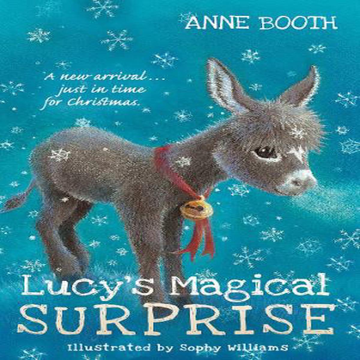 Lucys Magical Surprise