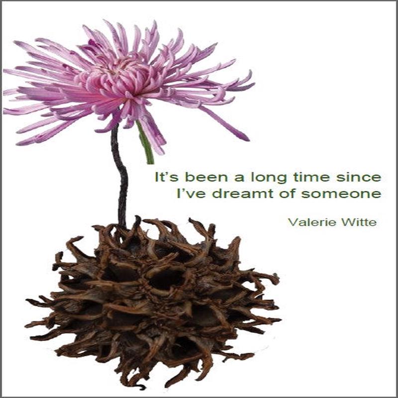 It’s been a long time since I’ve dreamt of someone | Valerie Witte