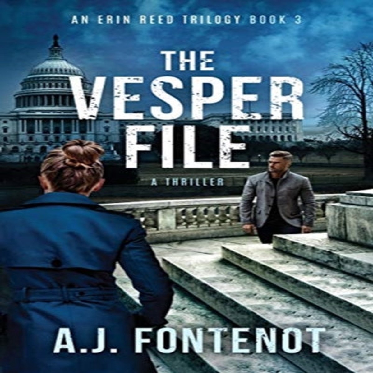 The Vesper File : The Erin Reed Trilogy Book 3 by A J Fontenot