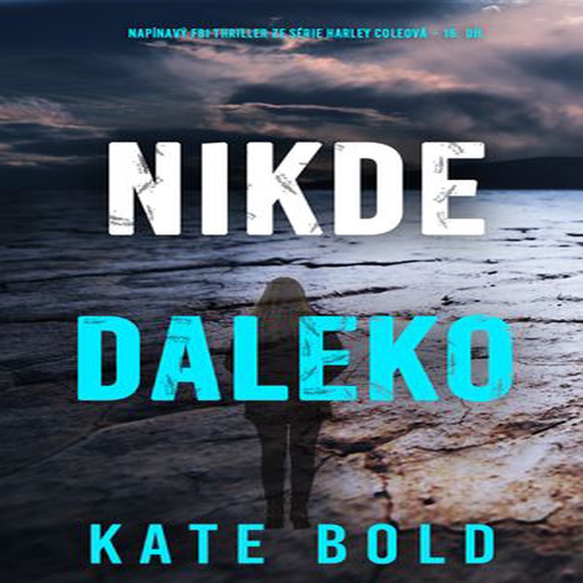Nikde daleko (napnav FBI thriller ze srie Harley Coleov 16. dl)