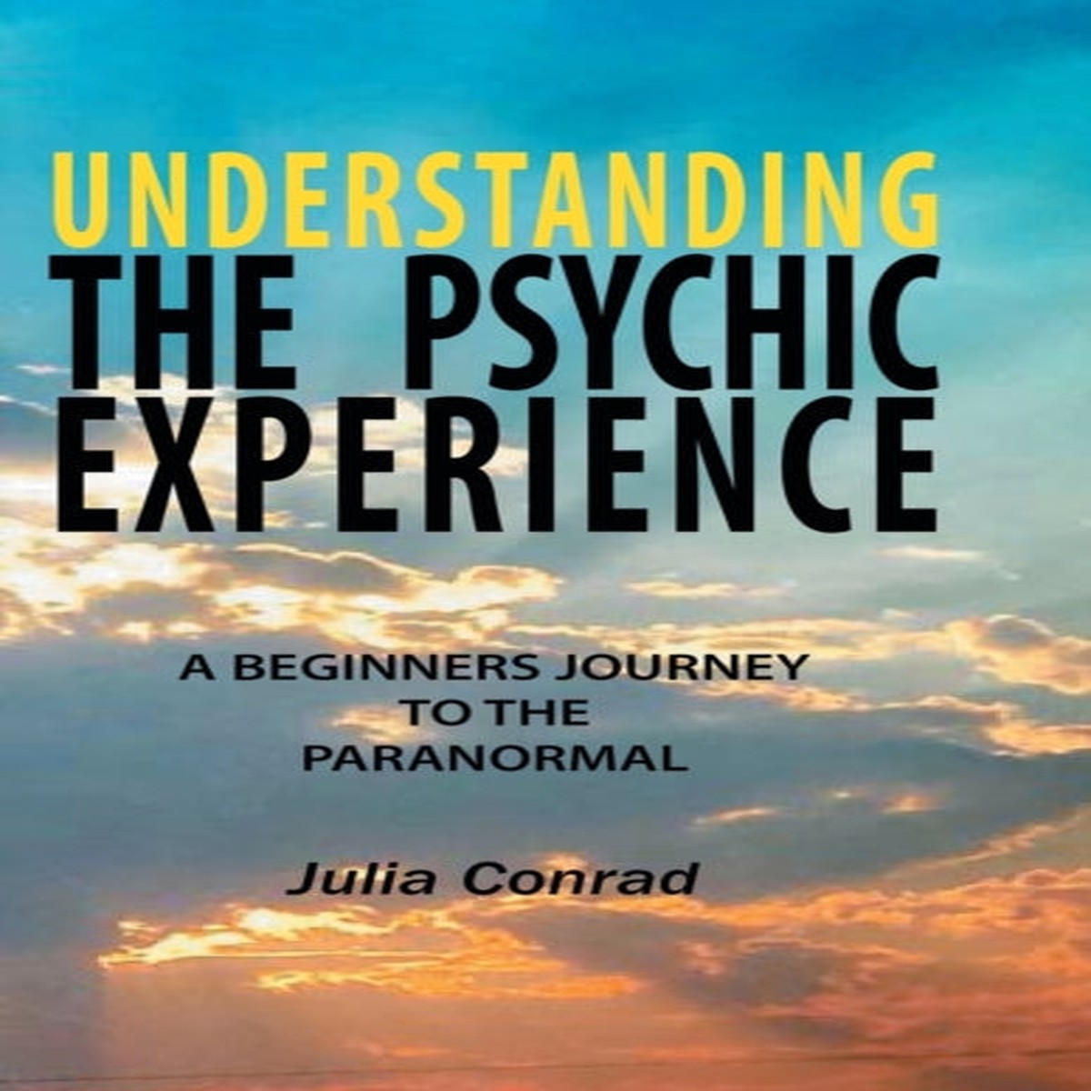 Understanding the Psychic Experience : A Beginners Journey to the Paranormal by Julia Conrad