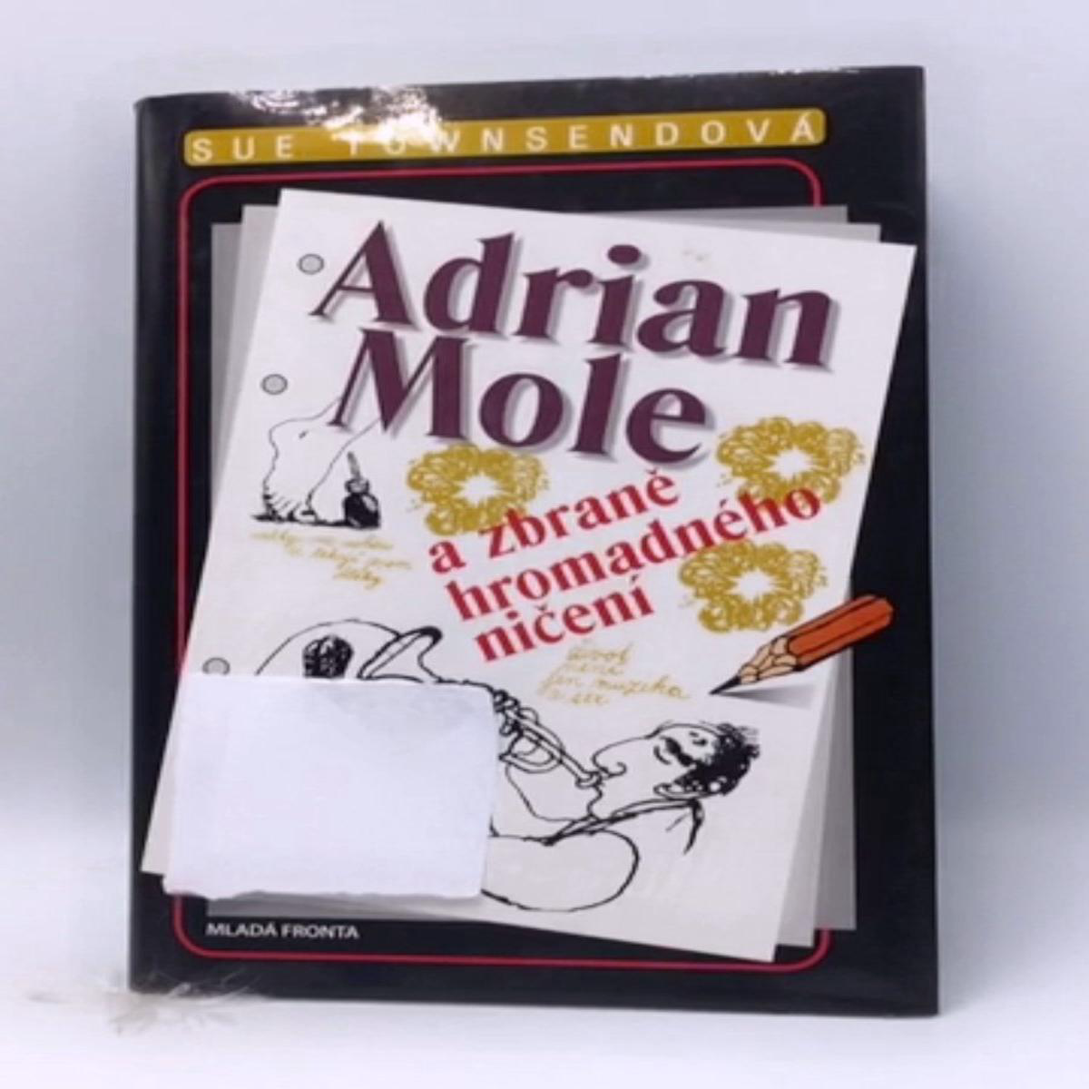 Adrian Mole a zbran hromadnho nien 8211 Hardcover