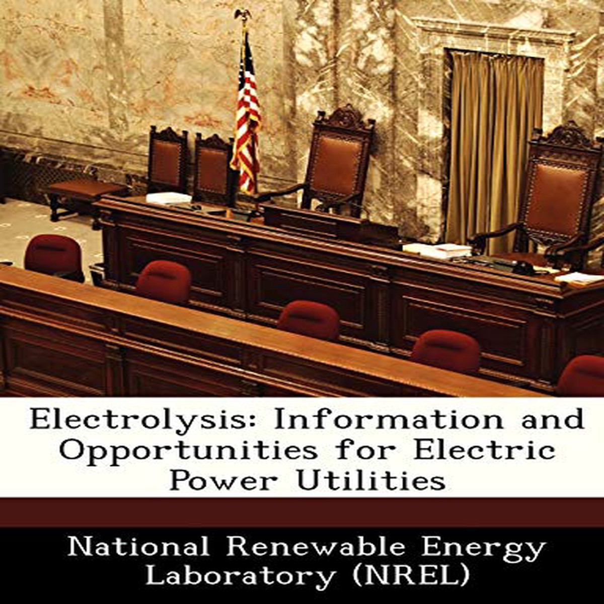 Electrolysis UsNewIngram