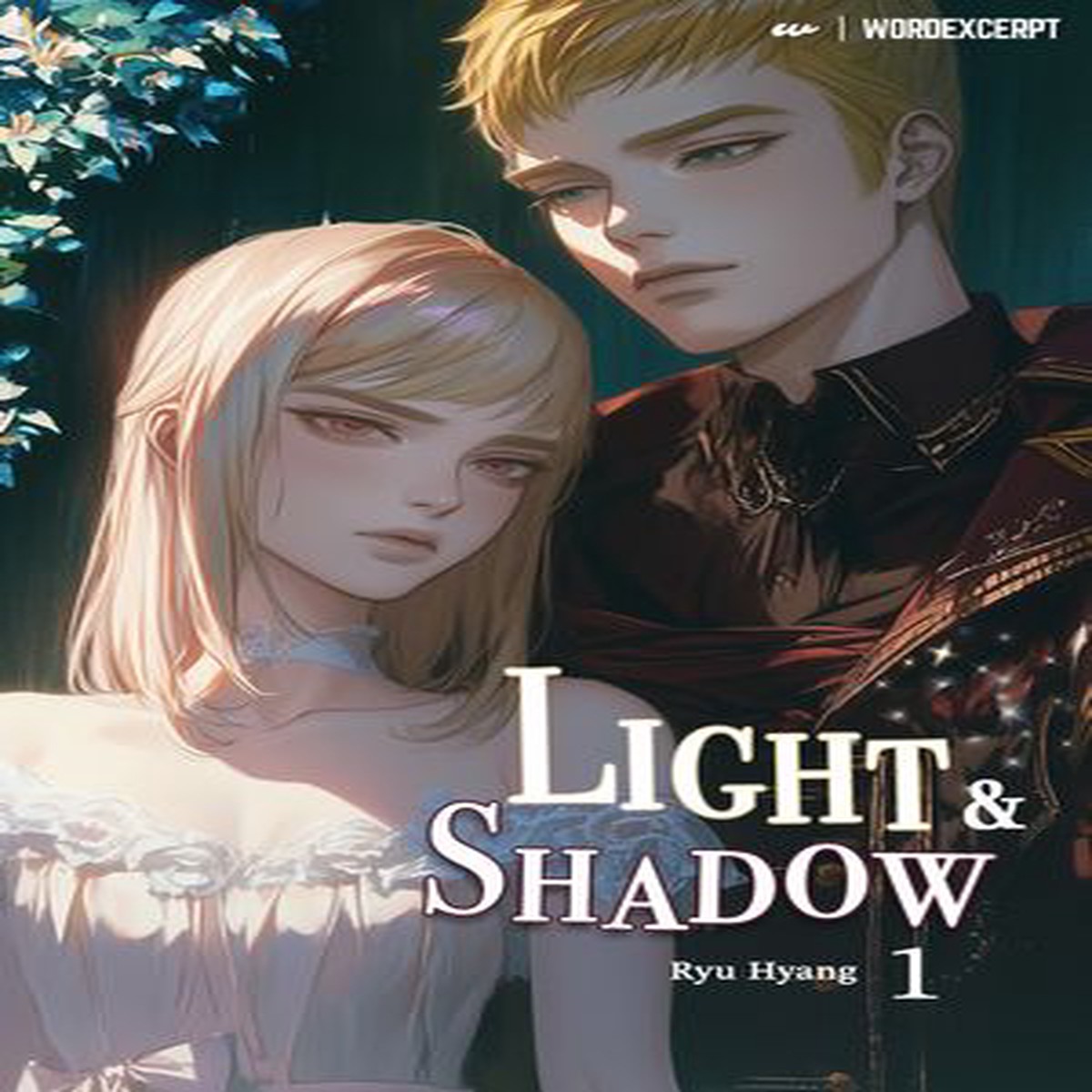 Light and Shadow Vol. 1 (novel)
