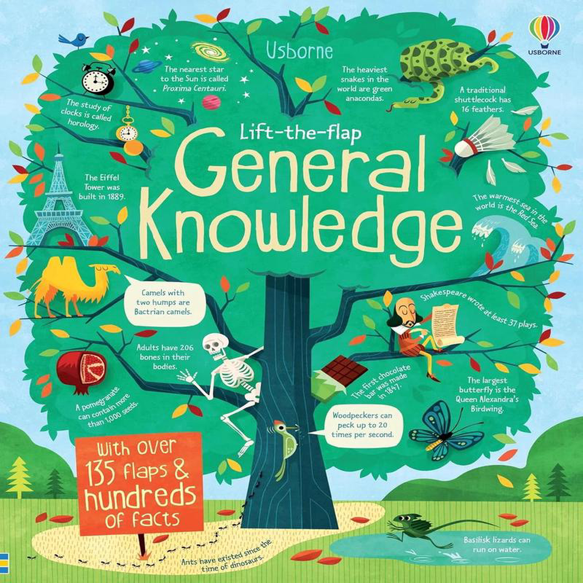 Usborne Lift The Flap See Inside Series Book Assortment 8211 See Inside General Knowledge