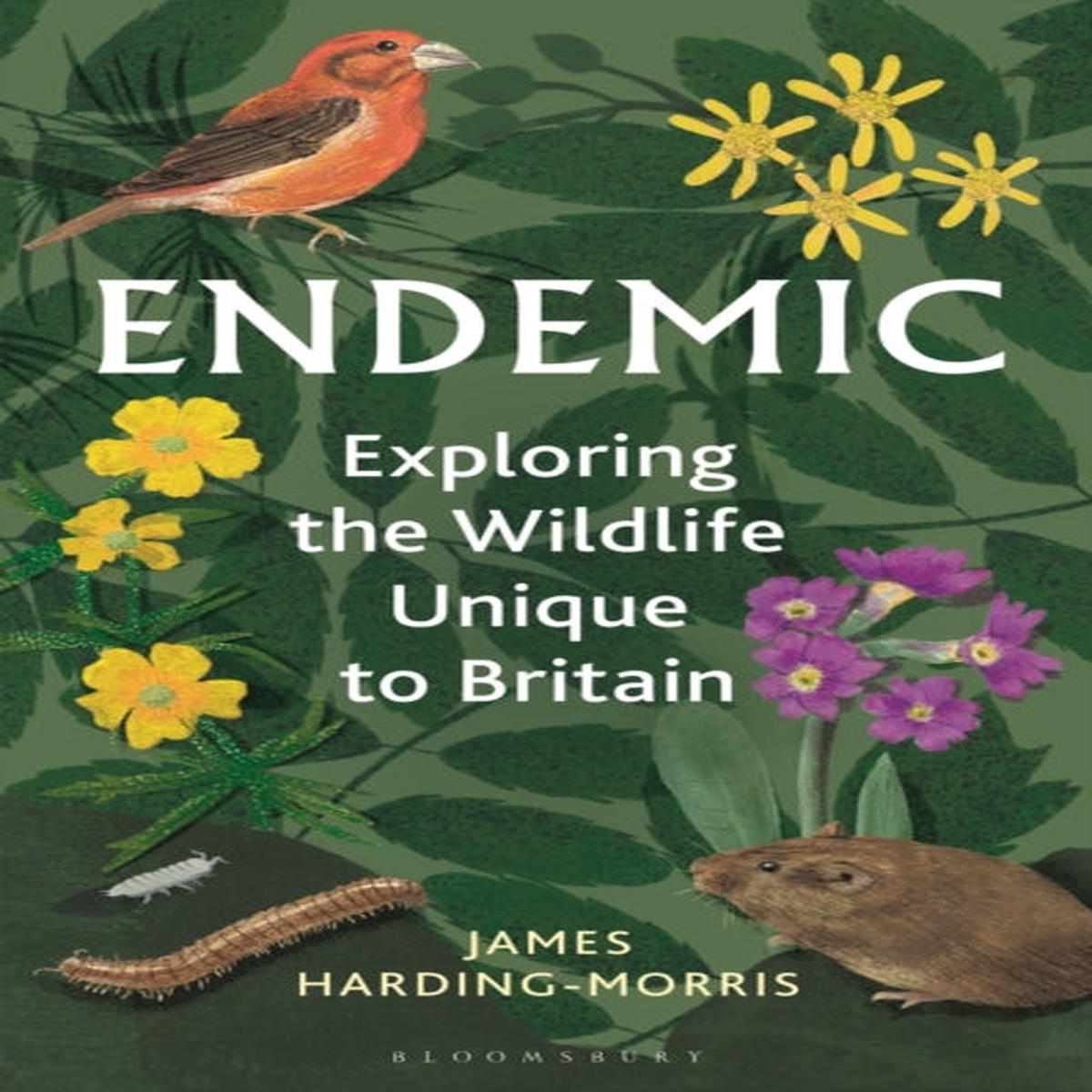 Endemic : Exploring the wildlife unique to Britain by Harding-Morris, James