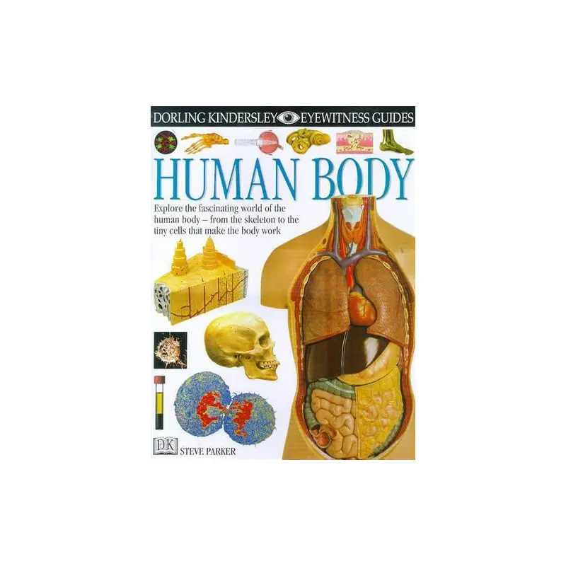 Human Body (Eyewitness Guides)