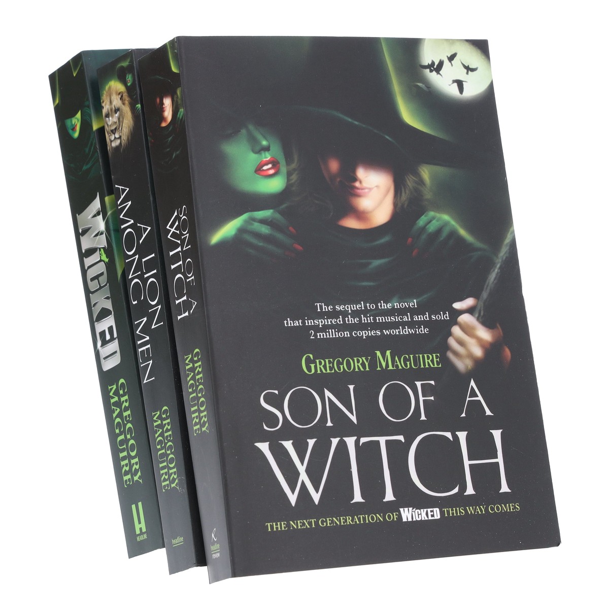 Wicked Years Series by Gregory Maguire 3 Books Collection Set - Fiction - Paperback