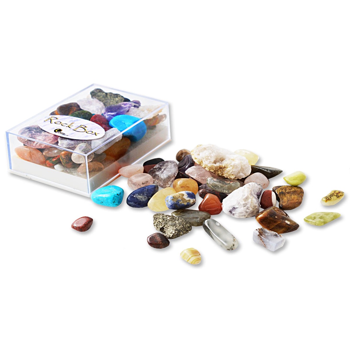 British Fossils Rock Box