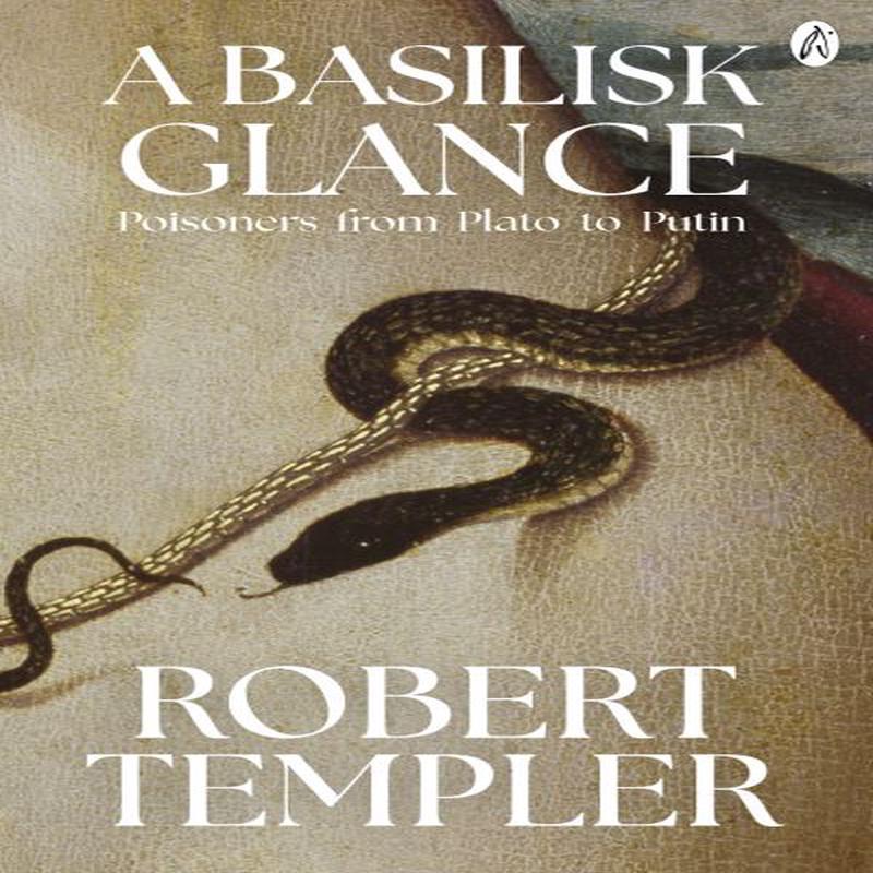 A basilisk glance Robert Templer