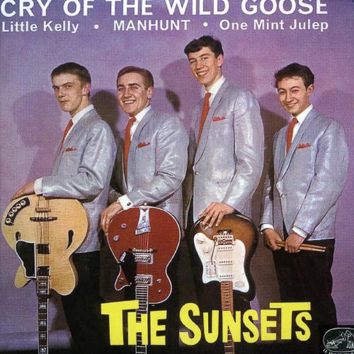 Cry of Wild Goose