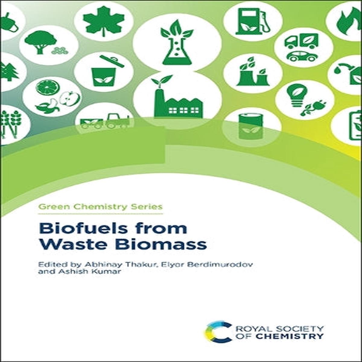 Biofuels from Waste Biomass