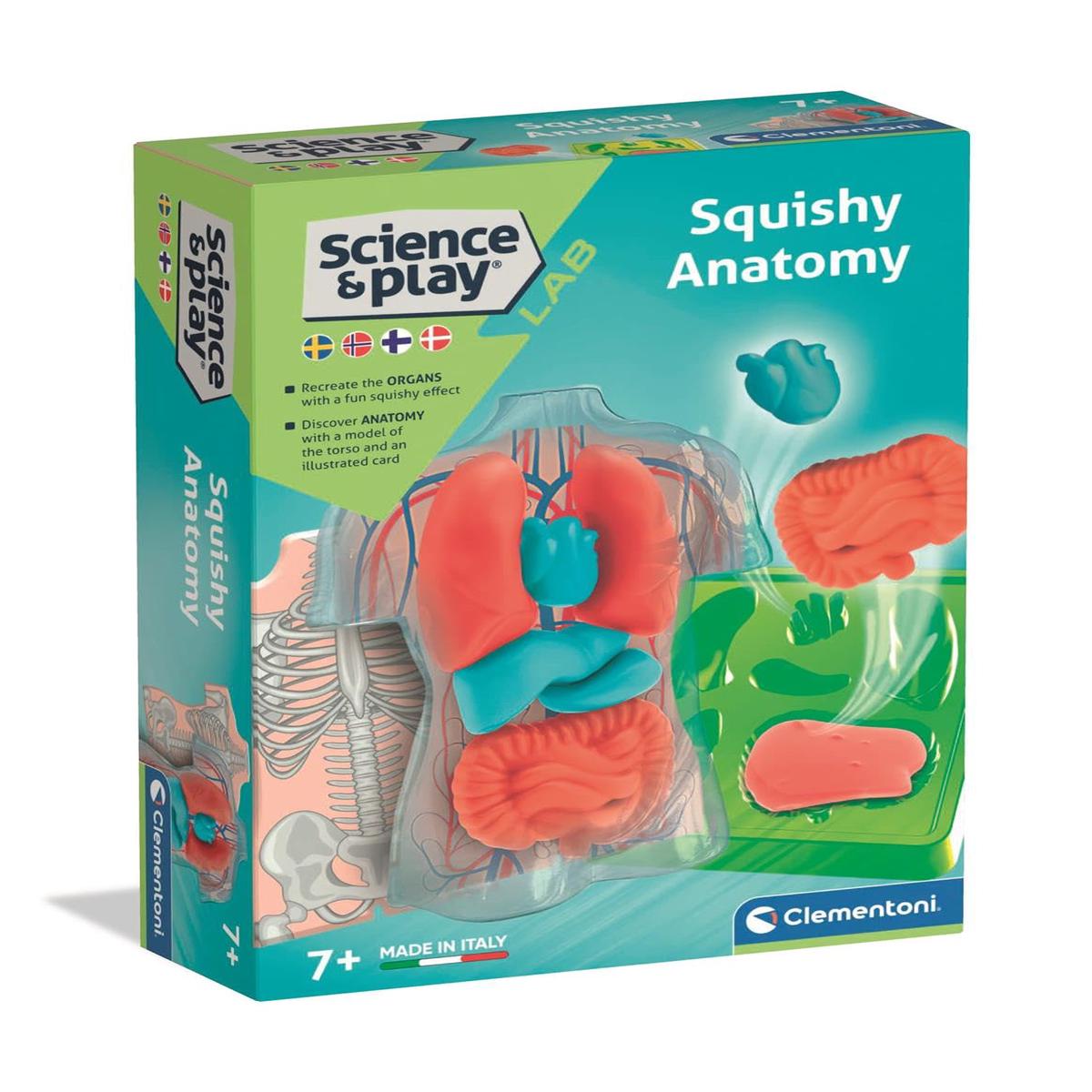 ANATOMIE SQUISHY (NORDIC