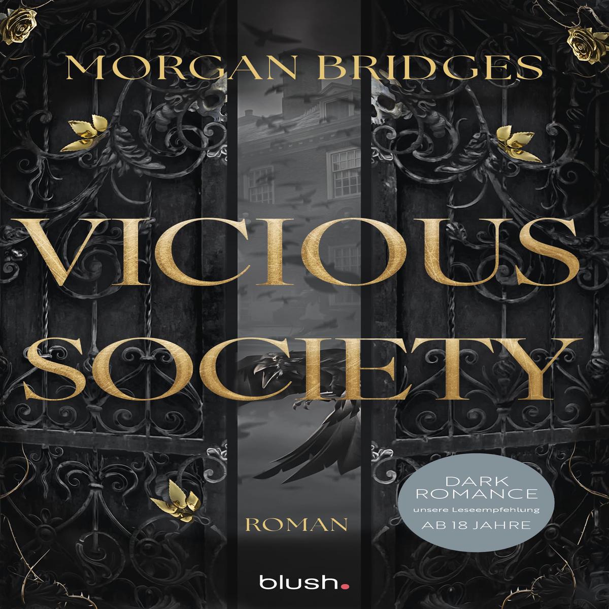 Vicious Society: Roman - Der Dark-Romance-Hype endlich auf Deutsch! (Obsidian Order, Band 2