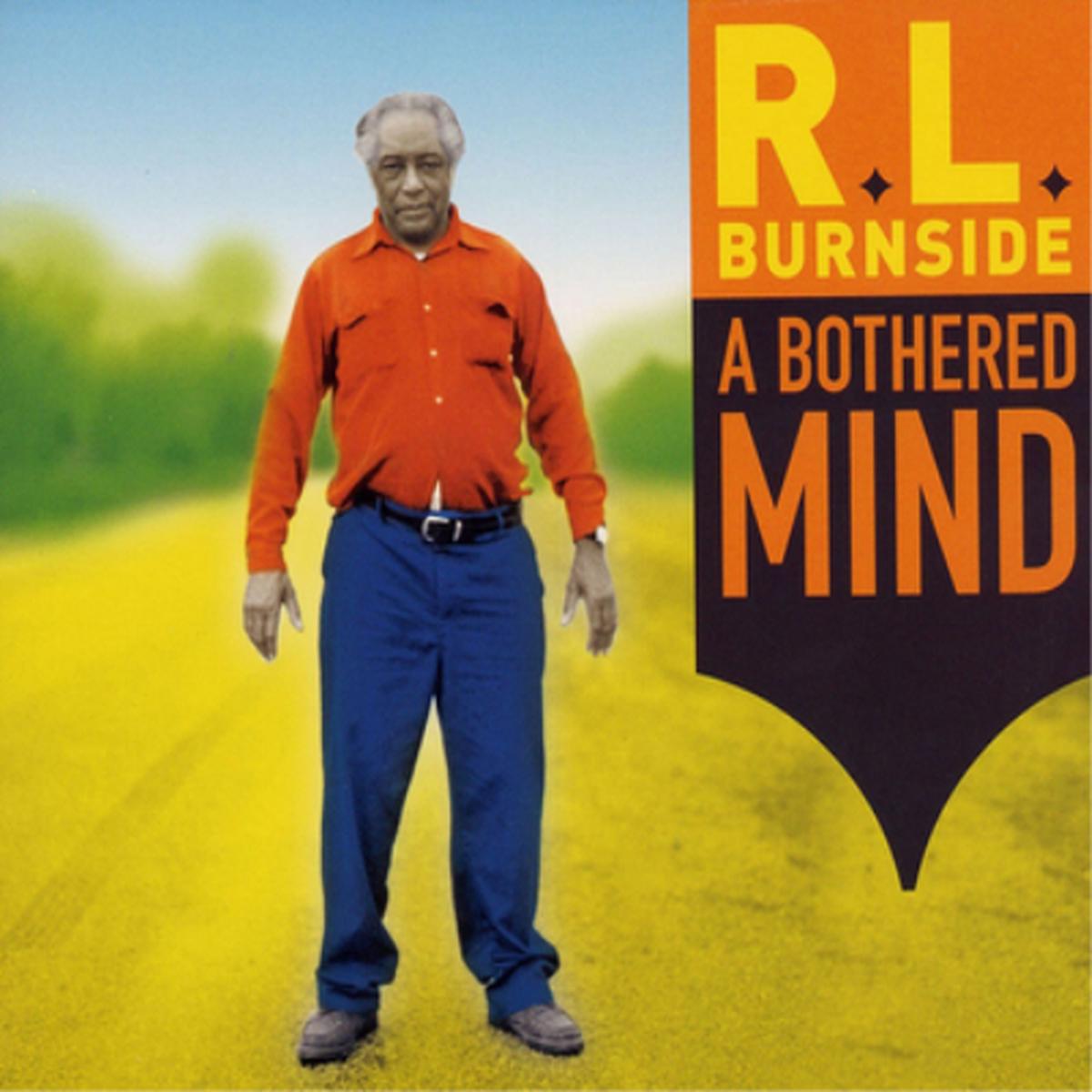 A Bothered Mind