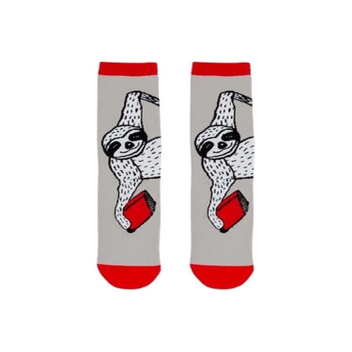 Book Sloth Socks Small