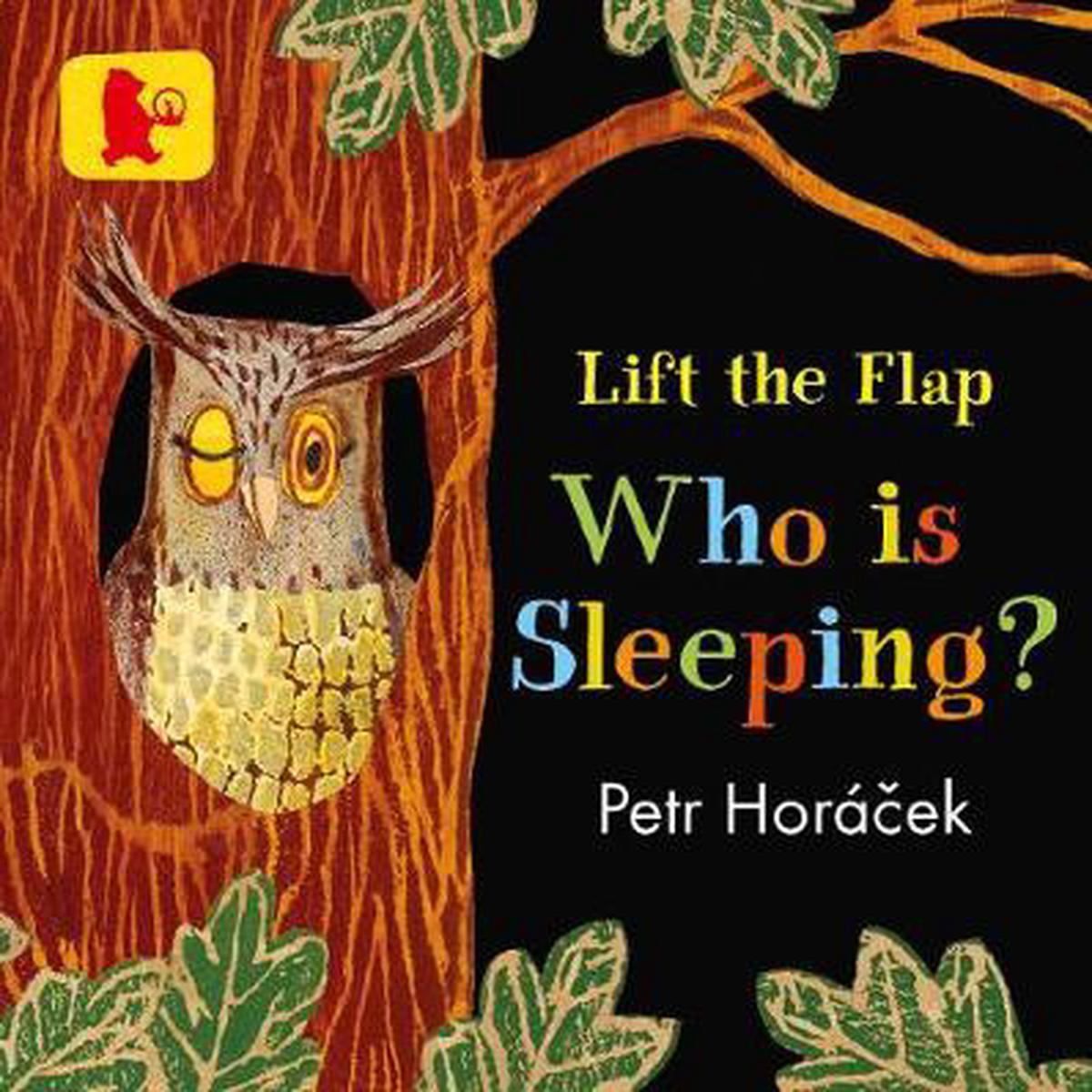 Who Is Sleeping? Liftflap