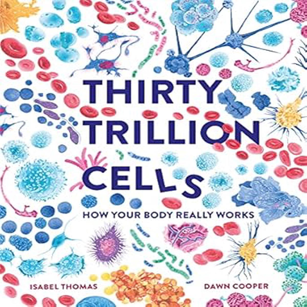 30 Trillion Cells
