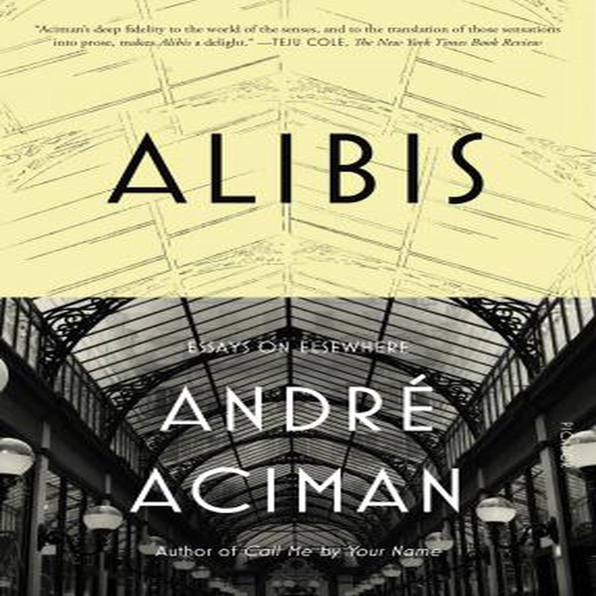Alibis Essays On Elsewhere