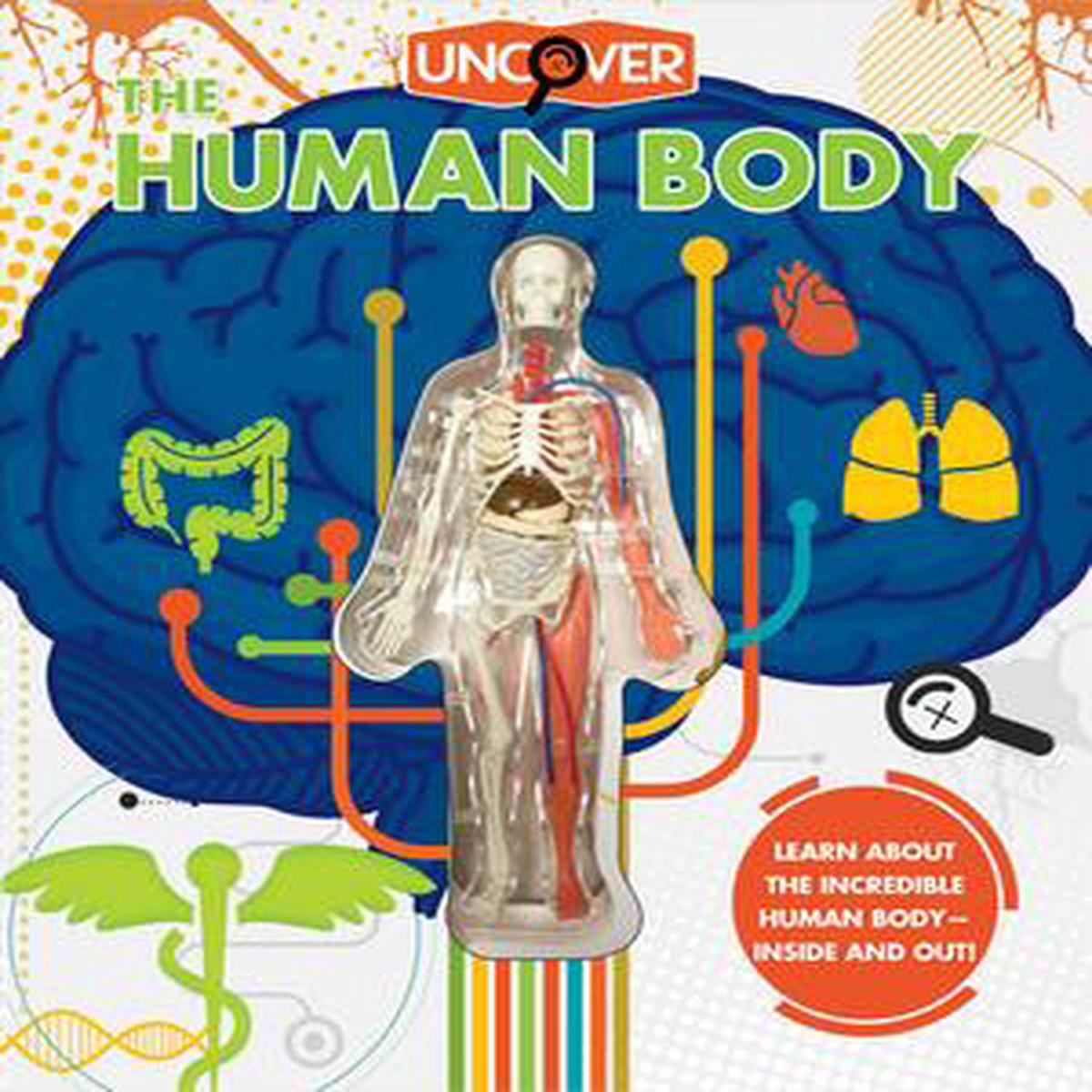 Uncover Human Body